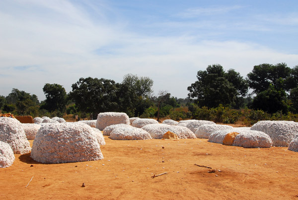 Collection area for the cotton harvest, Mali