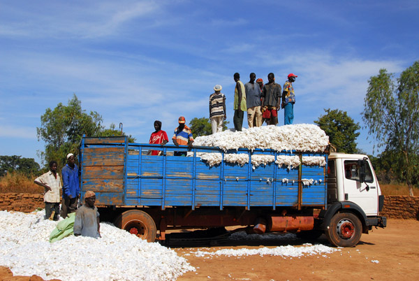 Loading a cotton truck, Mali