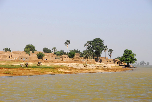 North bank of the Niger River downstream from Mopti