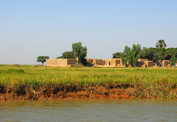 Green riverbanks of the Niger River, Mali