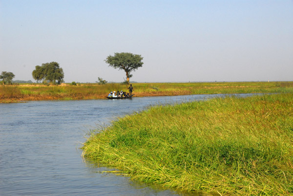 Heading up a tributary of the Niger to the town of Konna, Mali