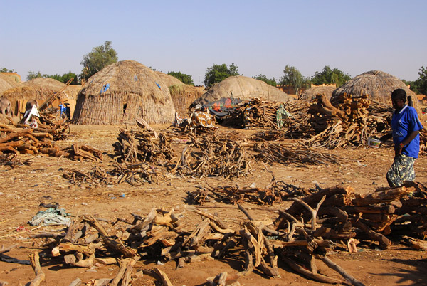 Nomad huts around the Konna harbor, Mali
