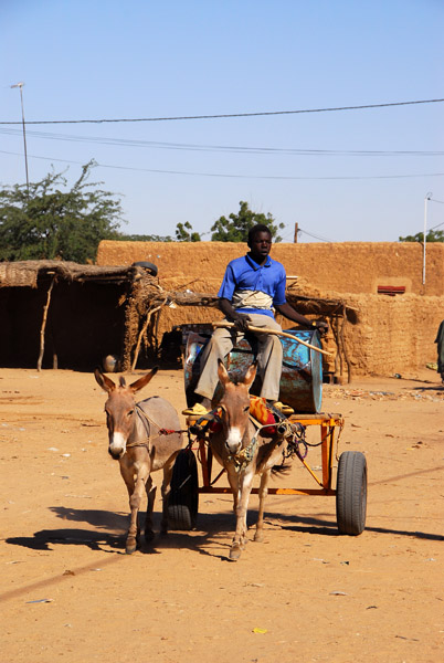 Donkey cart, Ayorou, Niger