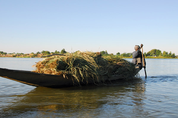 Cargo pirogue transporting a load of animal fodder