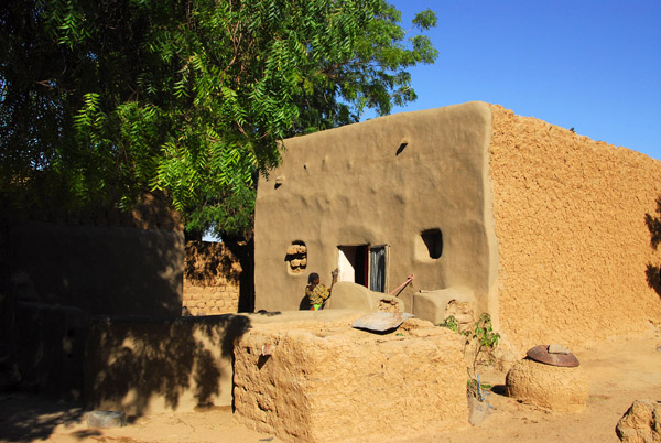 Island village by Ayorou, Niger