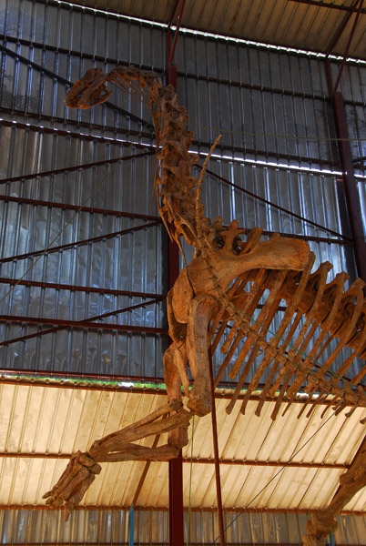 Dinosaur, Musée Nationale du Niger