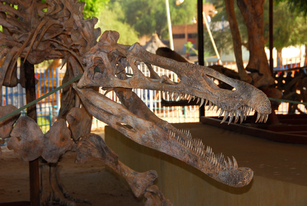 Dinosaur, Niger National Museum, Niamey