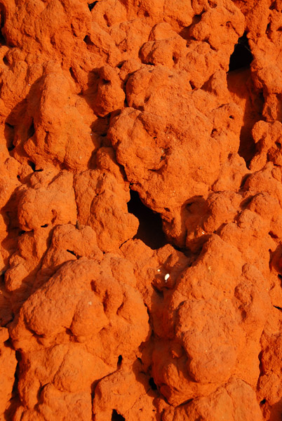 Termite mound detail, Niger