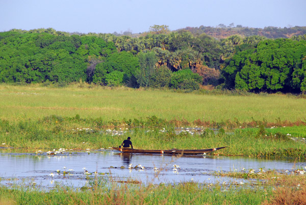 Niger River near Gaya, Niger