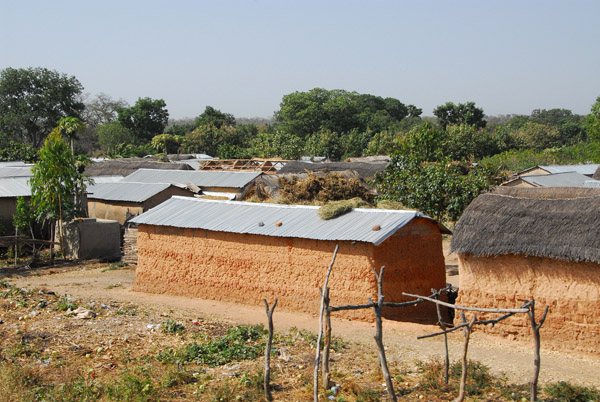 Long rectangular mud huts with tin roofs, Benin