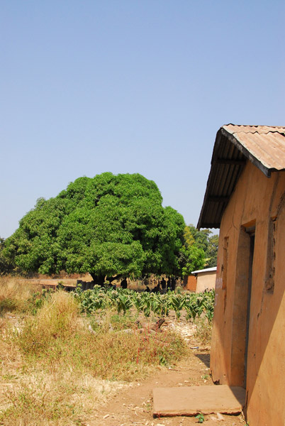 Miller's house, Benin