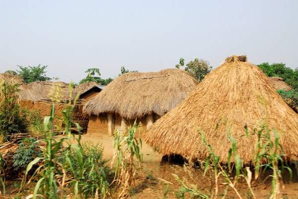 More thatched huts, south-central Benin