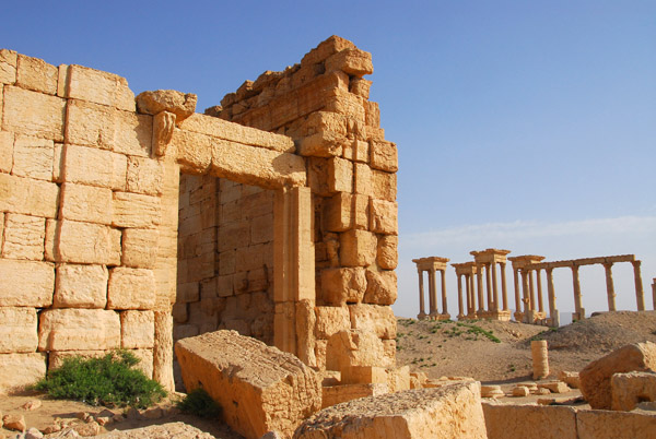 The Agora, Palmyra
