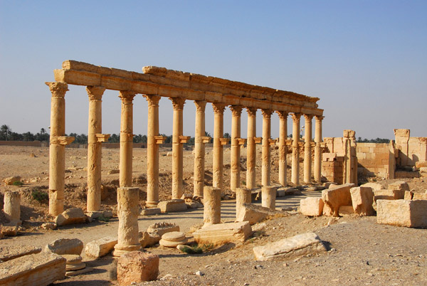 Row of columns, Ancient Palmyra