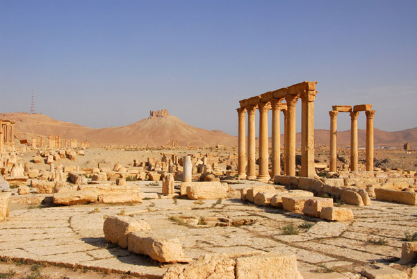 Ruins of the Ancient City of Palmyra
