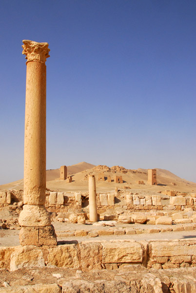 Camp of Diocletian, Palmyra