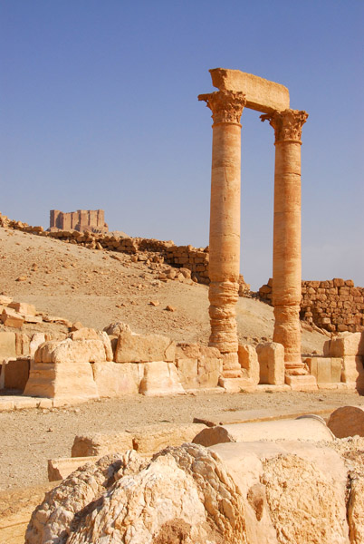 Camp of Diocletian, Palmyra