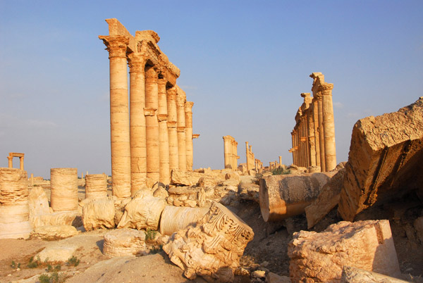 Part of the Great Colonnade, Palmyra