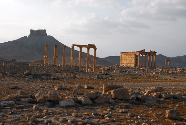 Western Palmyra