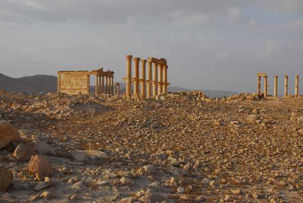Western Palmyra