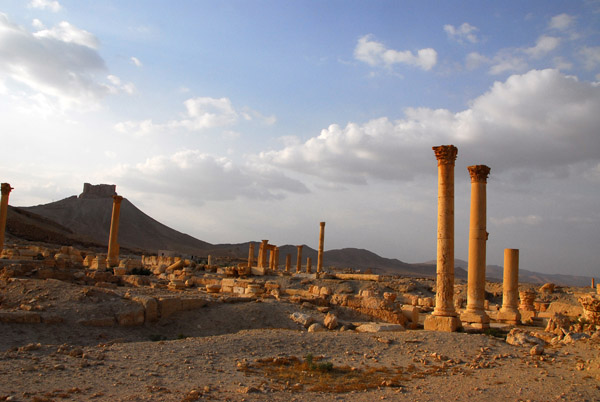 Diocletian Camp, Palmyra