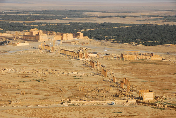 Ruins of the Ancient City seen from the Arabic Citadel, Palmyra