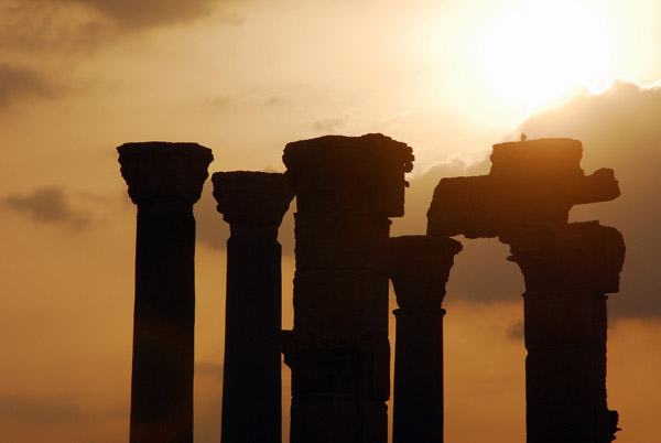 Standing columns, Palmyra, at sunset