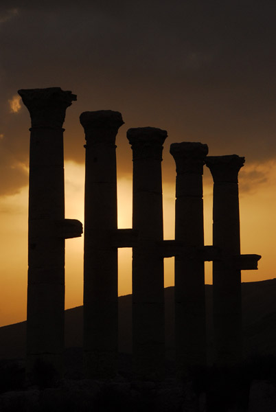 Columns at sunset, Palmyra
