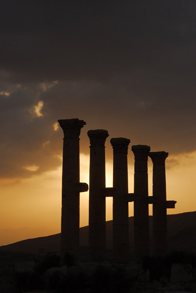 Columns at sunset, Palmyra