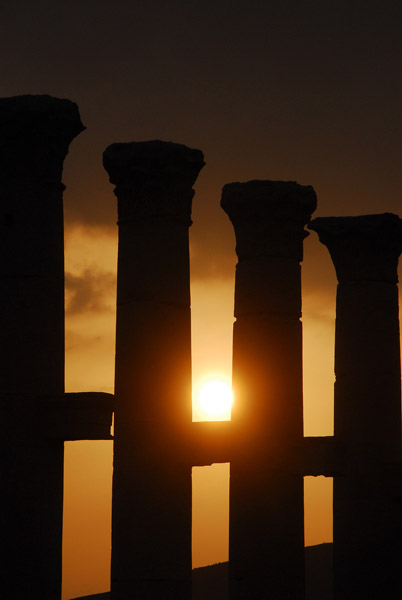 Columns at sunset, Palmyra