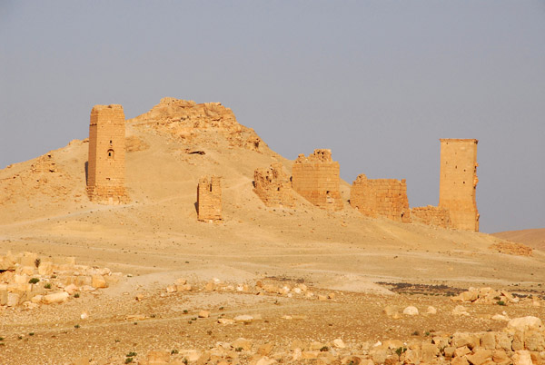The Western Necropolis, Palmyra