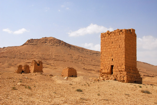 The Southwestern Necropolis, Palmyra (2nd-3rd Century AD)