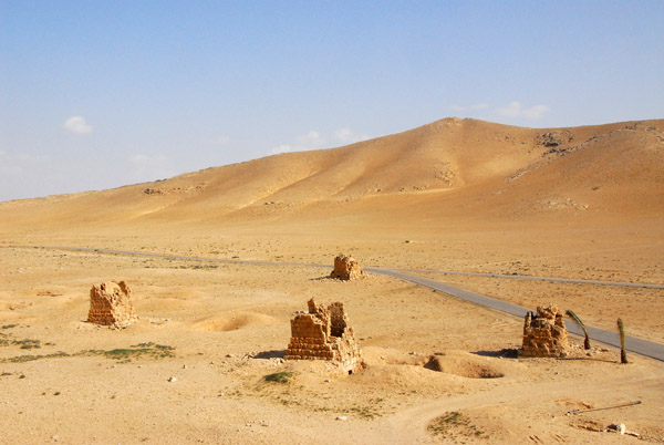 View from the top of the tower of the Tomb of Elhabel, Palmyra