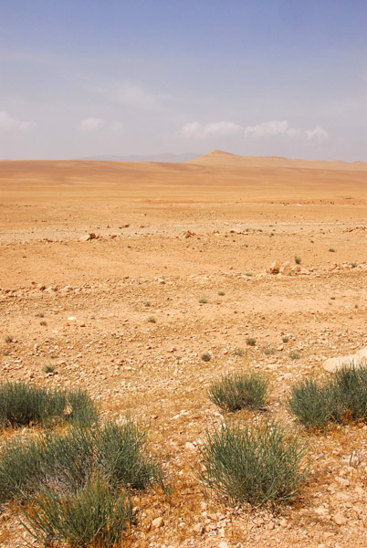 Syrian desert