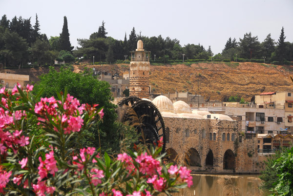 Flowering bush and the Mosque Al-Nouri with its waterwheel, Hama