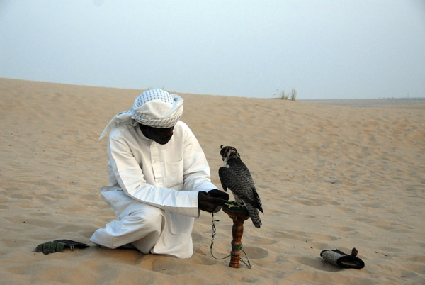 Falconry demonstration, Bab Al Shams