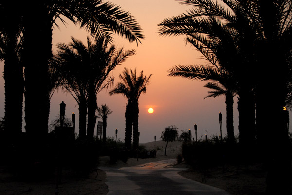 Sunset with palms, Bab Al Shams