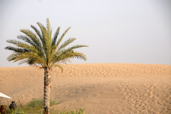 The desert behind Bab Al Shams