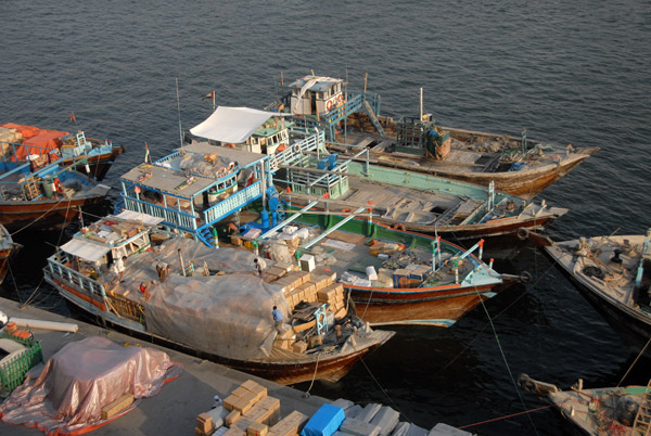 Dhows like these are very active in the Gulf and some go as far as India and East Africa