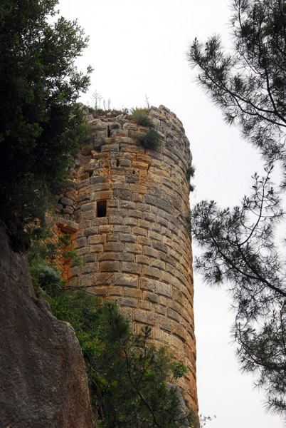 Saladin Castle (Saone)
