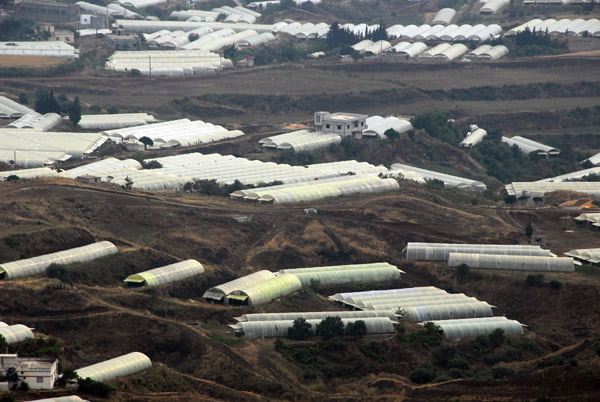These are greenhouses, Syria