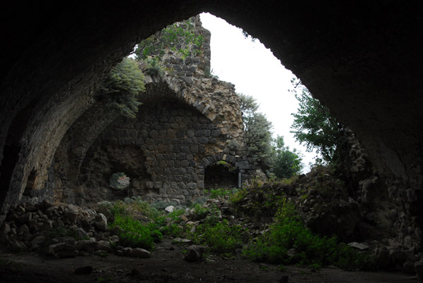 Overgrown ruin, Marqeb Castle
