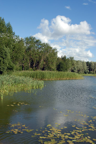 The lake at the Latvian Open-air Ethnographic Museum