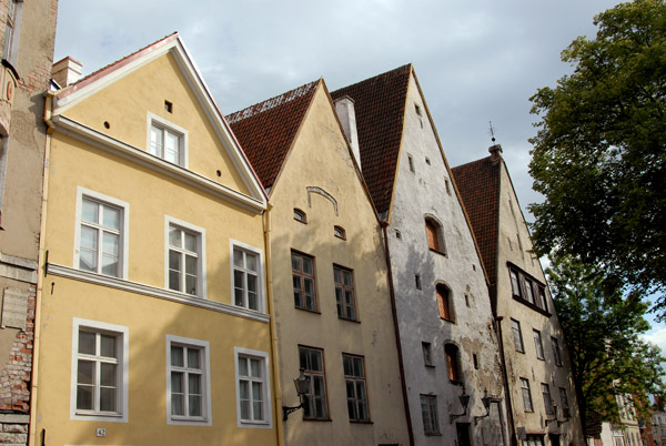 Old Tallinn houses, Lai tnav
