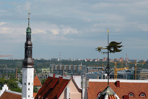 Old Town from Toompea Hill