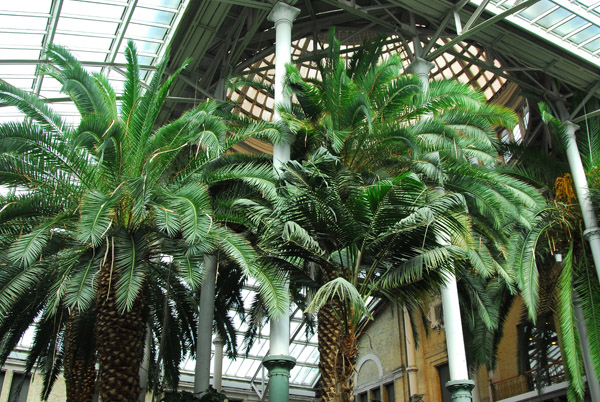 Wintergarden of the Ny Carlsberg Glyptotek