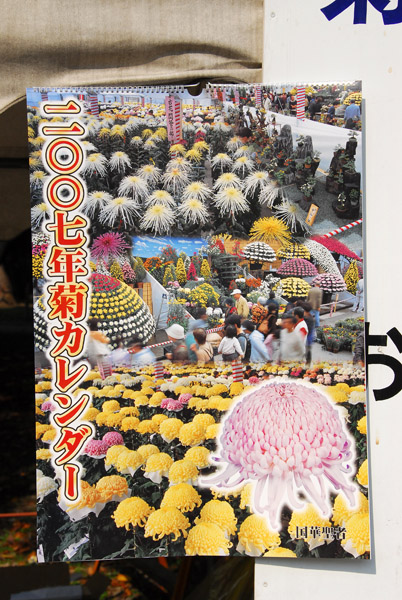 Kiku-no-hana Taikai (Chrysanthemum Exhibition) Nagoya