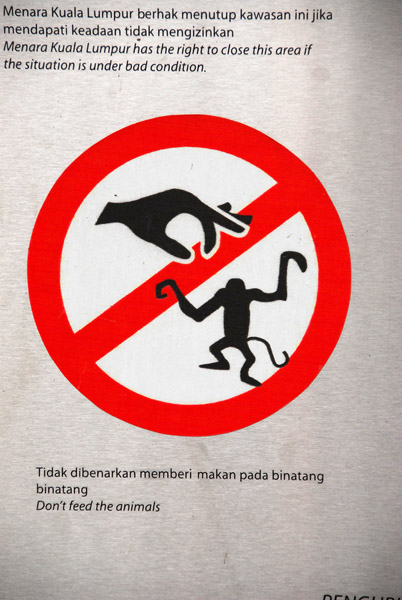 Don't feed the monkies, Kuala Lumpur