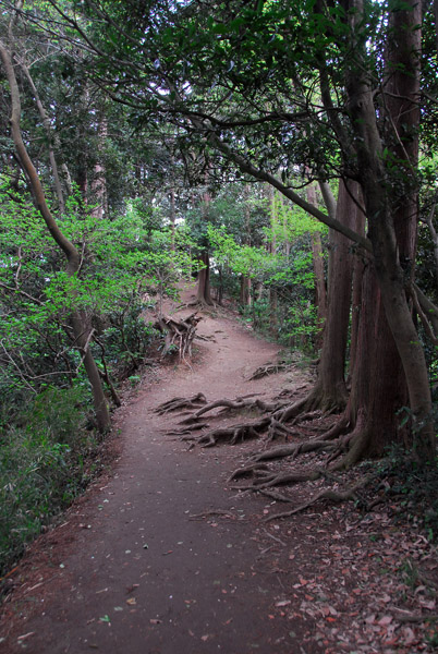 Daibutsu Hiking Course, Kamakura