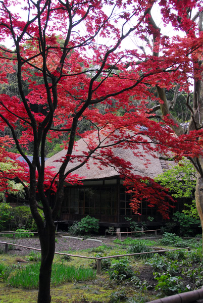 Jochi-ji Temple, Kamakura